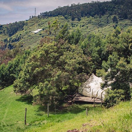 Arambha Ecovillage Farmstay Tabua  Eksteriør billede