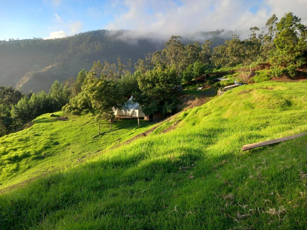 Arambha Ecovillage Farmstay Tabua  Eksteriør billede