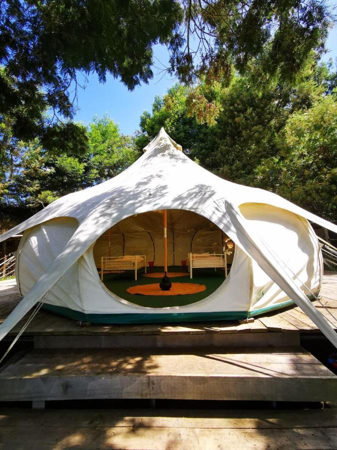 Arambha Ecovillage Farmstay Tabua  Eksteriør billede