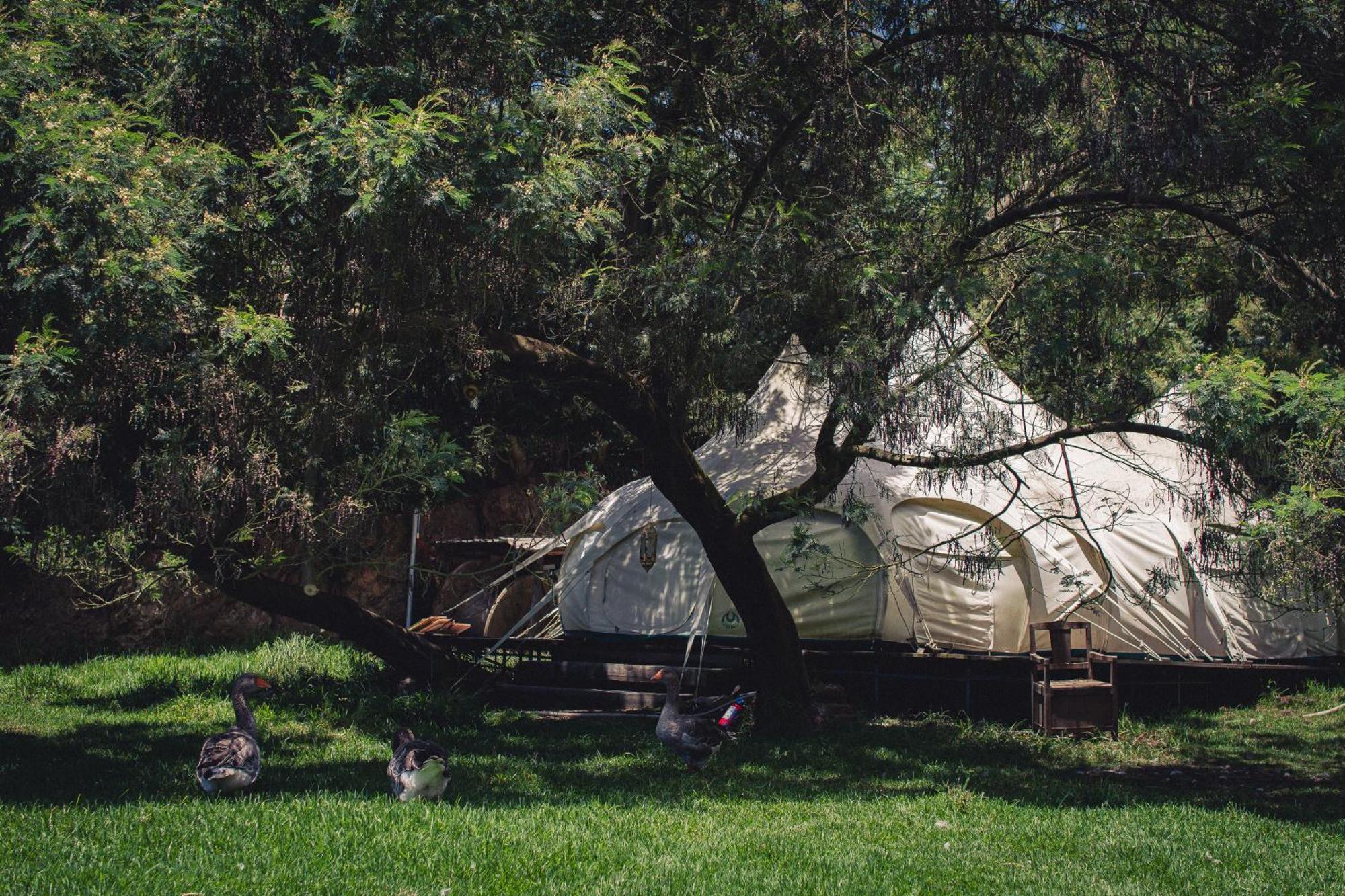 Arambha Ecovillage Farmstay Tabua  Eksteriør billede