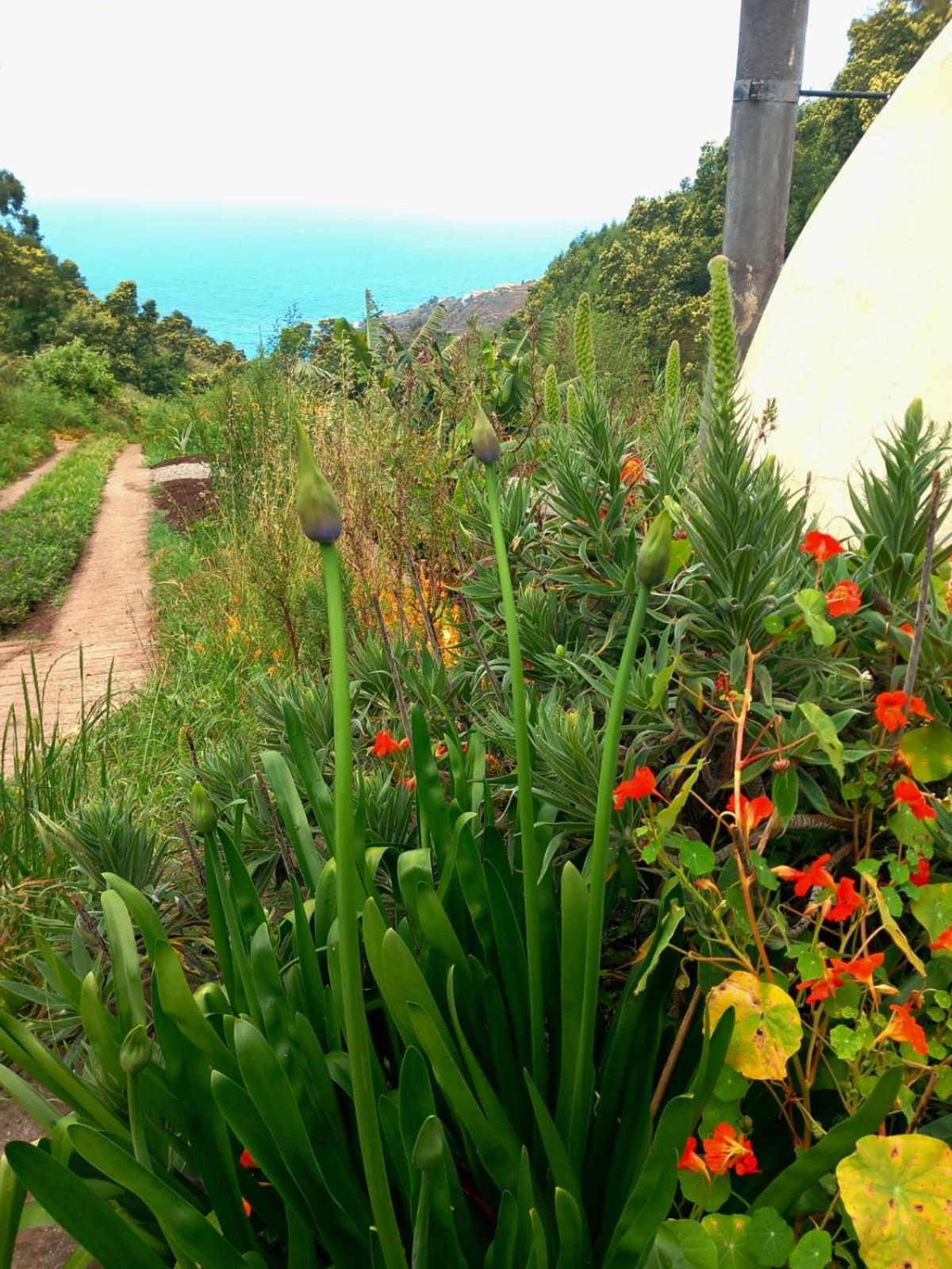 Arambha Ecovillage Farmstay Tabua  Eksteriør billede